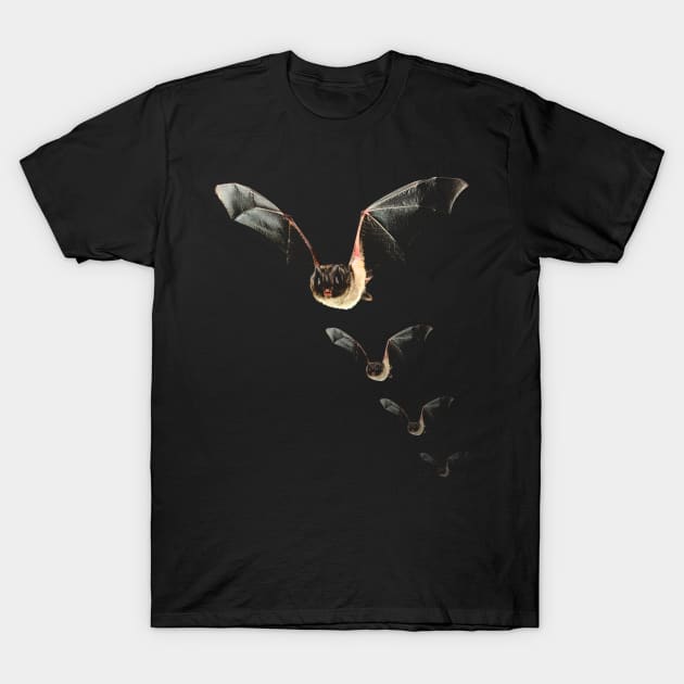 bat T-Shirt by hottehue